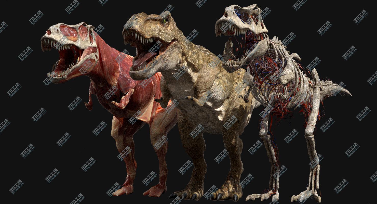 images/goods_img/202104092/T Rex Anatomy 3D 3D model/4.jpg